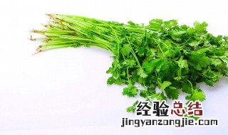 香菜的保鲜方法 香菜的储存方法介绍