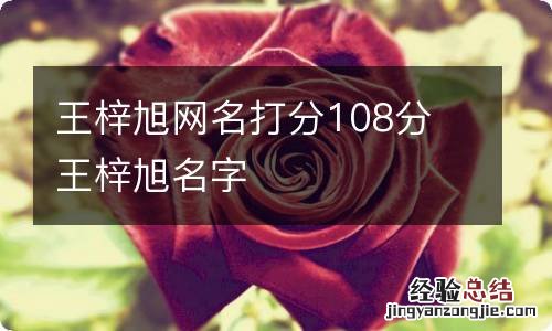 王梓旭网名打分108分 王梓旭名字