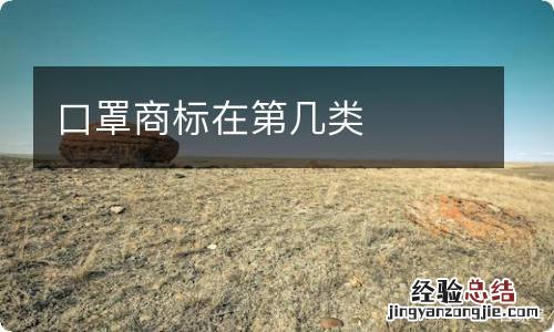 口罩商标在第几类