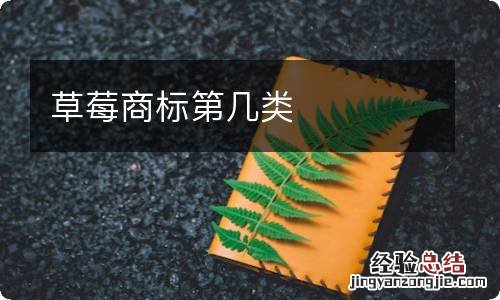 草莓商标第几类