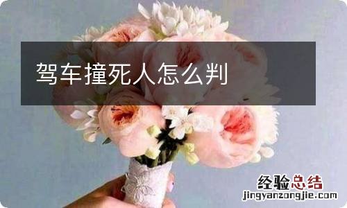 驾车撞死人怎么判