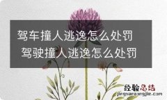 驾车撞人逃逸怎么处罚 驾驶撞人逃逸怎么处罚