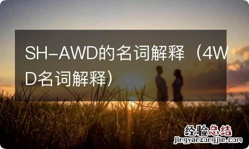 4WD名词解释 SH-AWD的名词解释