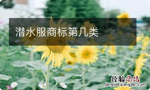 潜水服商标第几类