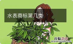 水表商标第几类