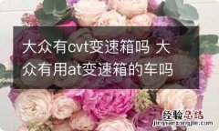 大众有cvt变速箱吗 大众有用at变速箱的车吗