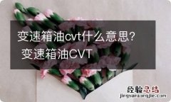 变速箱油cvt什么意思？ 变速箱油CVT