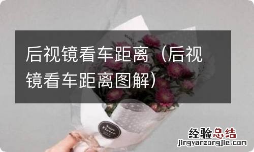 后视镜看车距离图解 后视镜看车距离