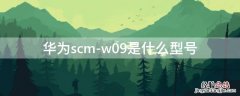 华为scmr一w09是什么型号 华为scm-w09是什么型号