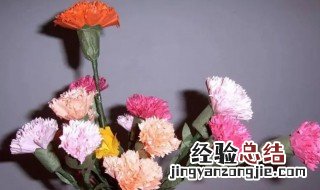 母亲节应该送什么花的花语 母亲节应该送什么花的花语呢