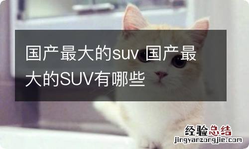 国产最大的suv 国产最大的SUV有哪些