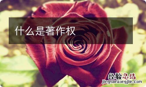 什么是著作权