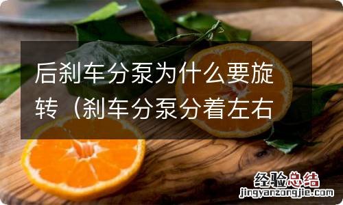 刹车分泵分着左右前后吗? 后刹车分泵为什么要旋转