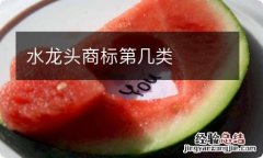 水龙头商标第几类