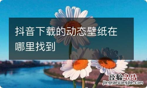 抖音下载的动态壁纸在哪里找到