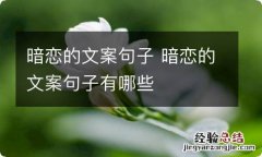 暗恋的文案句子 暗恋的文案句子有哪些