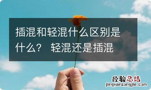 插混和轻混什么区别是什么？ 轻混还是插混