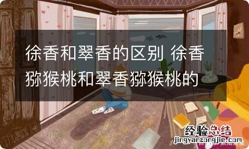 徐香和翠香的区别 徐香猕猴桃和翠香猕猴桃的区别