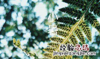 小暑主题 小暑主题是什么