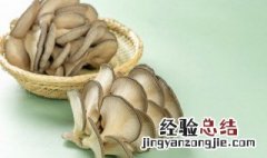 蘑菇上面长白毛还能吃吗 蘑菇上长白毛还能吃吗