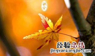 入秋的问候语 入秋的问候语有哪些