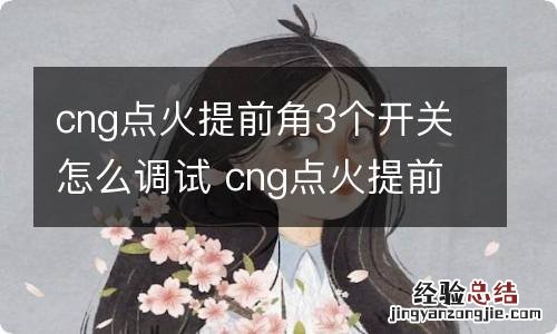 cng点火提前角3个开关怎么调试 cng点火提前角红灯常亮