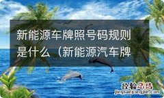 新能源汽车牌号规则 新能源车牌照号码规则是什么