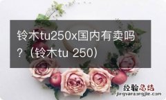 铃木tu 250 铃木tu250x国内有卖吗?