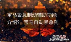 宝马紧急制动辅助功能介绍？ 宝马自动紧急刹车系统