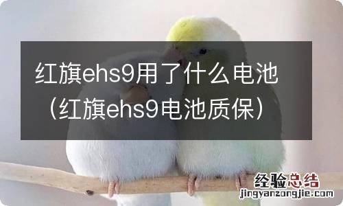 红旗ehs9电池质保 红旗ehs9用了什么电池