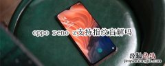 oppo reno z支持指纹盲解吗