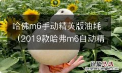 2019款哈弗m6自动精英型油耗多高 哈佛m6手动精英版油耗