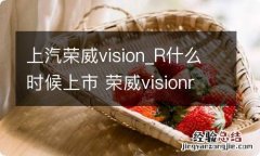 上汽荣威vision_R什么时候上市 荣威visionr何时上市