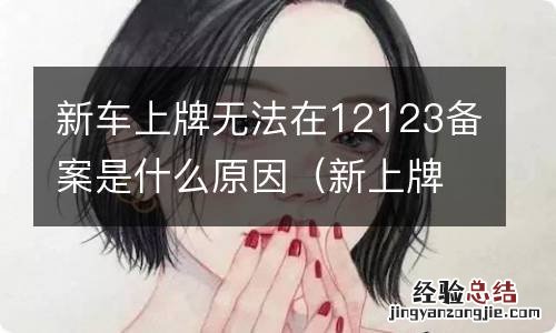 新上牌照的车无法在12123备案 新车上牌无法在12123备案是什么原因