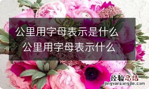 公里用字母表示是什么公里用字母表示什么