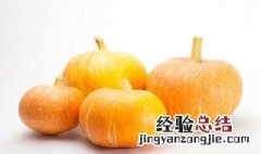 北方南瓜滴灌种植方法 北方南瓜滴灌种植方法图解