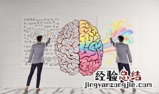 什么是左脑型人格 左脑型人格介绍