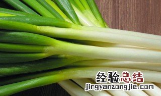 葱白是葱的什么部位 葱白有何药用价值