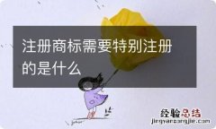 注册商标需要特别注册的是什么