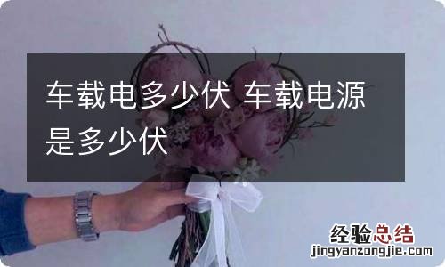 车载电多少伏 车载电源是多少伏