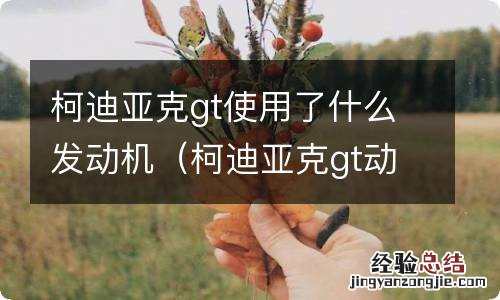 柯迪亚克gt动力怎么样 柯迪亚克gt使用了什么发动机