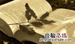 女生网名简单干净温柔两个字带符号 女生网名简单干净温柔两个字