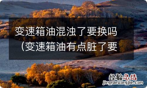 变速箱油有点脏了要不要换 变速箱油混浊了要换吗