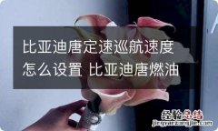 比亚迪唐定速巡航速度怎么设置 比亚迪唐燃油版定速巡航怎么开