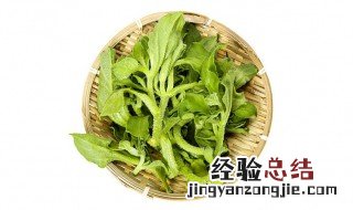 冰菜的禁忌 冰菜的作用是什么