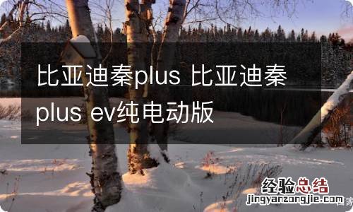 比亚迪秦plus 比亚迪秦plus ev纯电动版