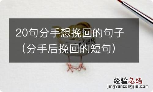 分手后挽回的短句 20句分手想挽回的句子