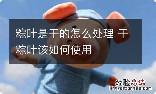 粽叶是干的怎么处理 干粽叶该如何使用