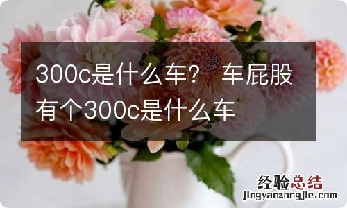 300c是什么车？ 车屁股有个300c是什么车