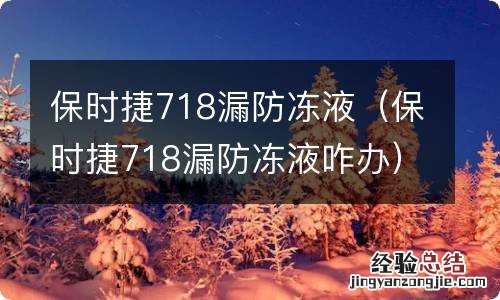 保时捷718漏防冻液咋办 保时捷718漏防冻液